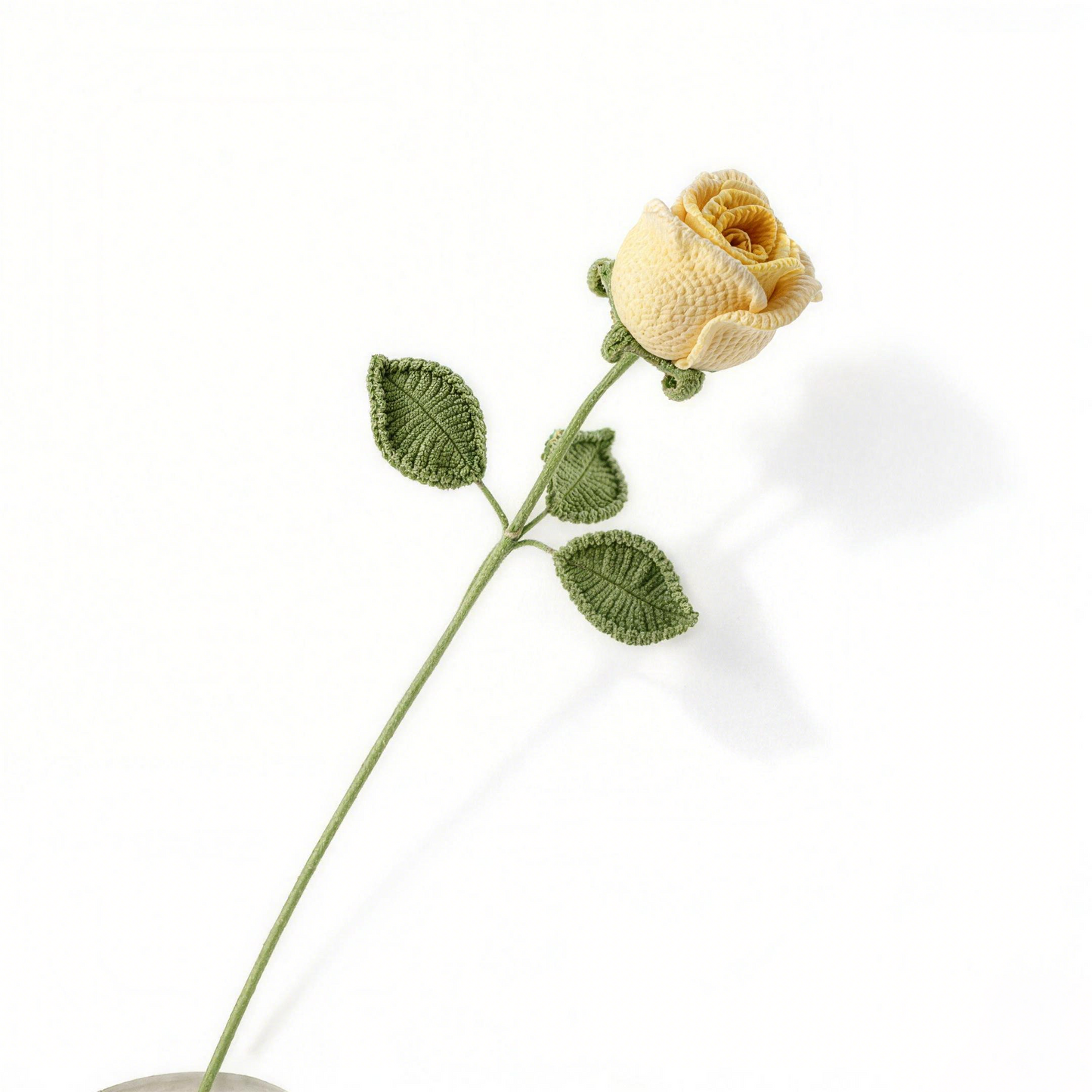 Cream Yellow Rose flower