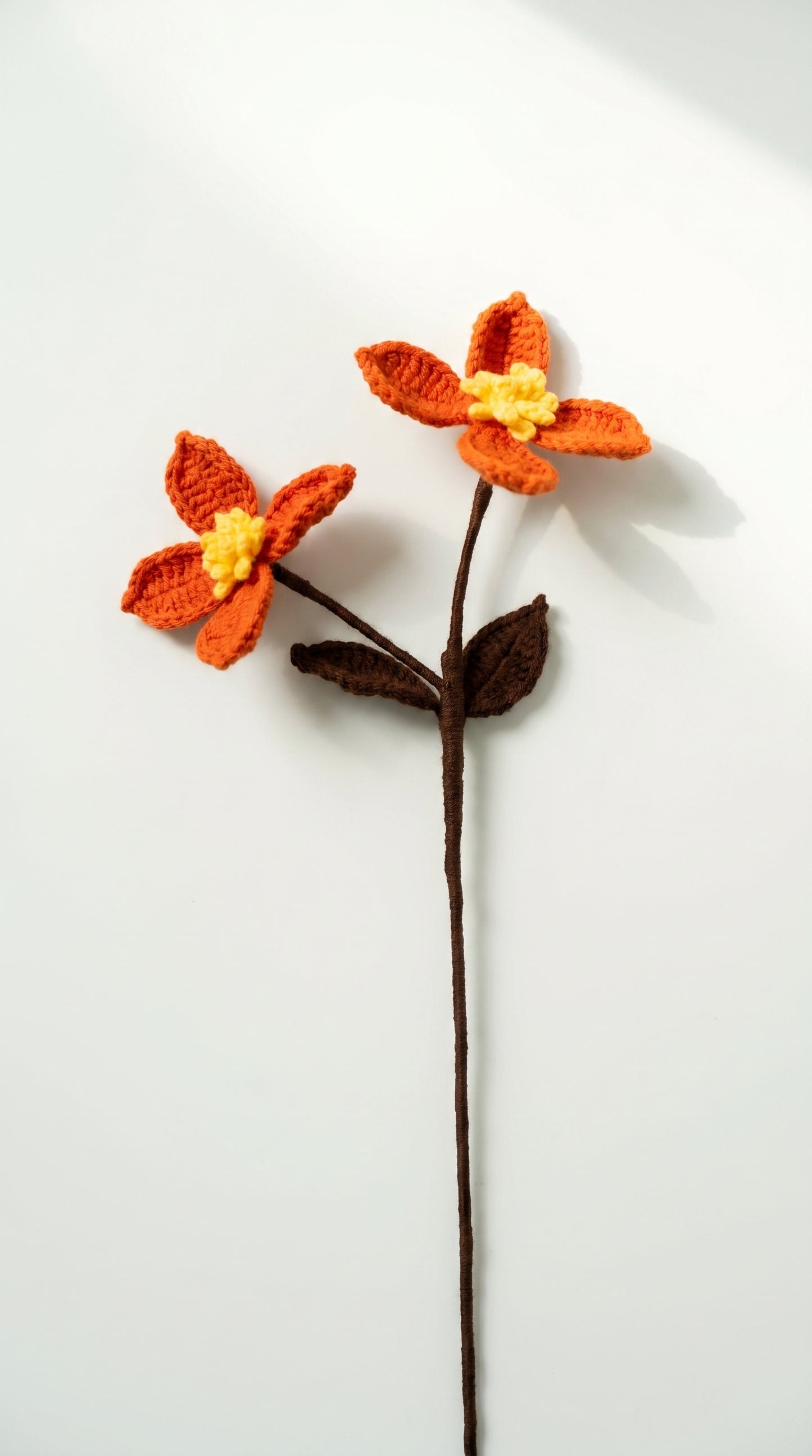 Dogwood Flower Branch