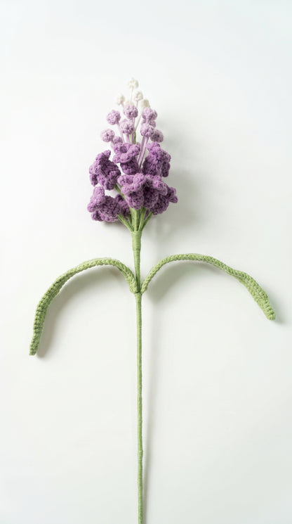 Gradient Grape Hyacinth