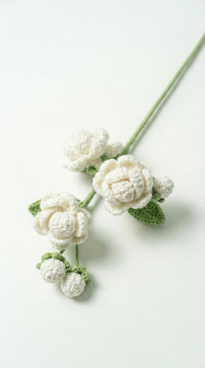 Multi-bud Jasmine