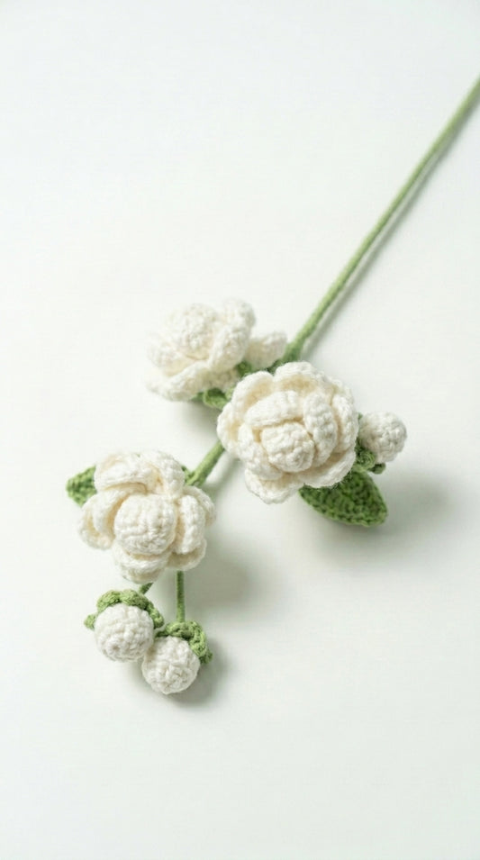 Multi-bud Jasmine