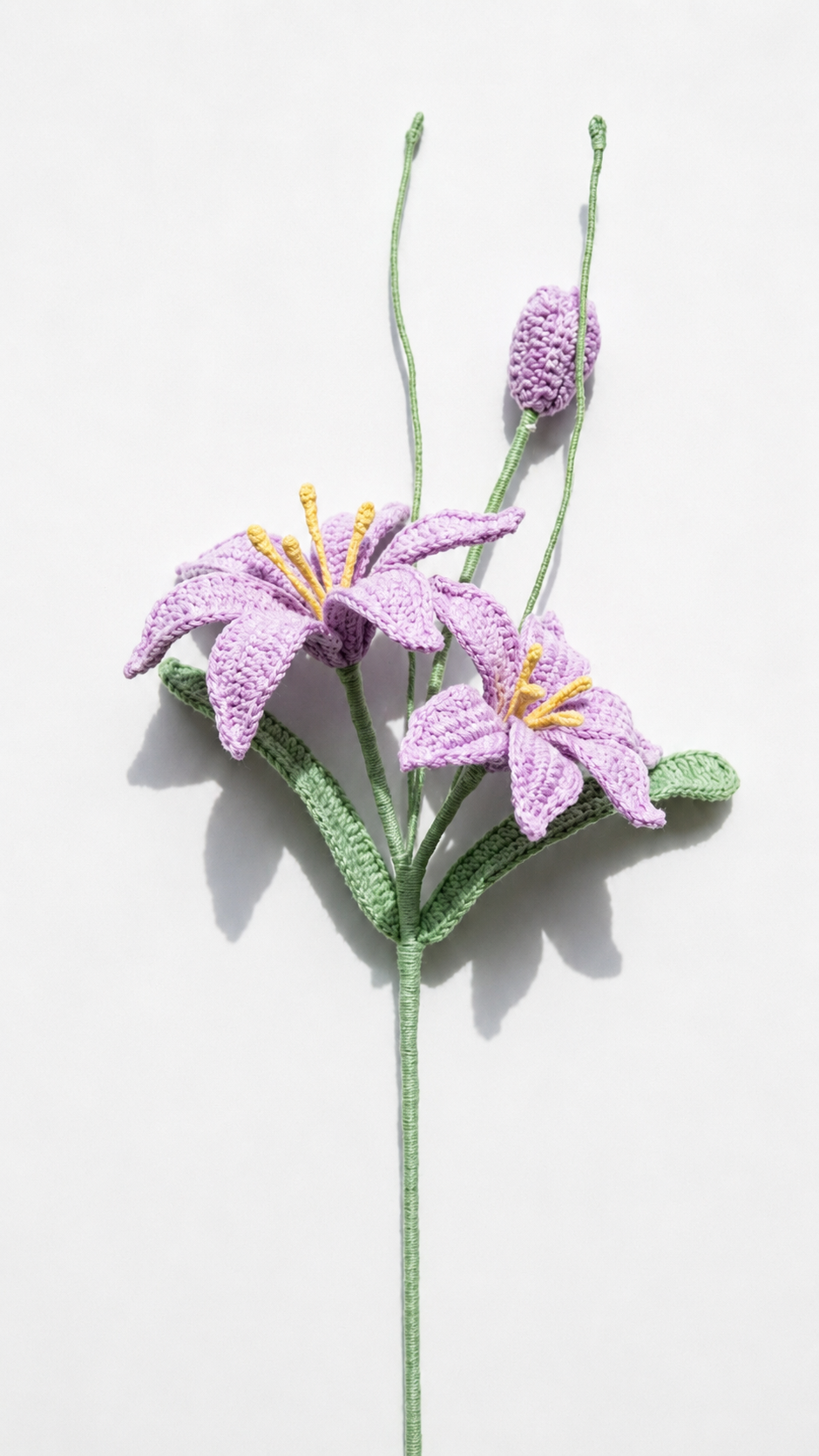 Zephyranthes Flower Branch