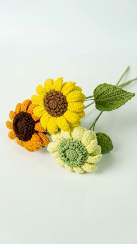 Multicolored Sunflower