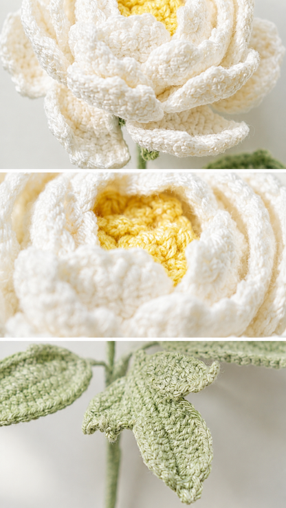 Afghan Peony
