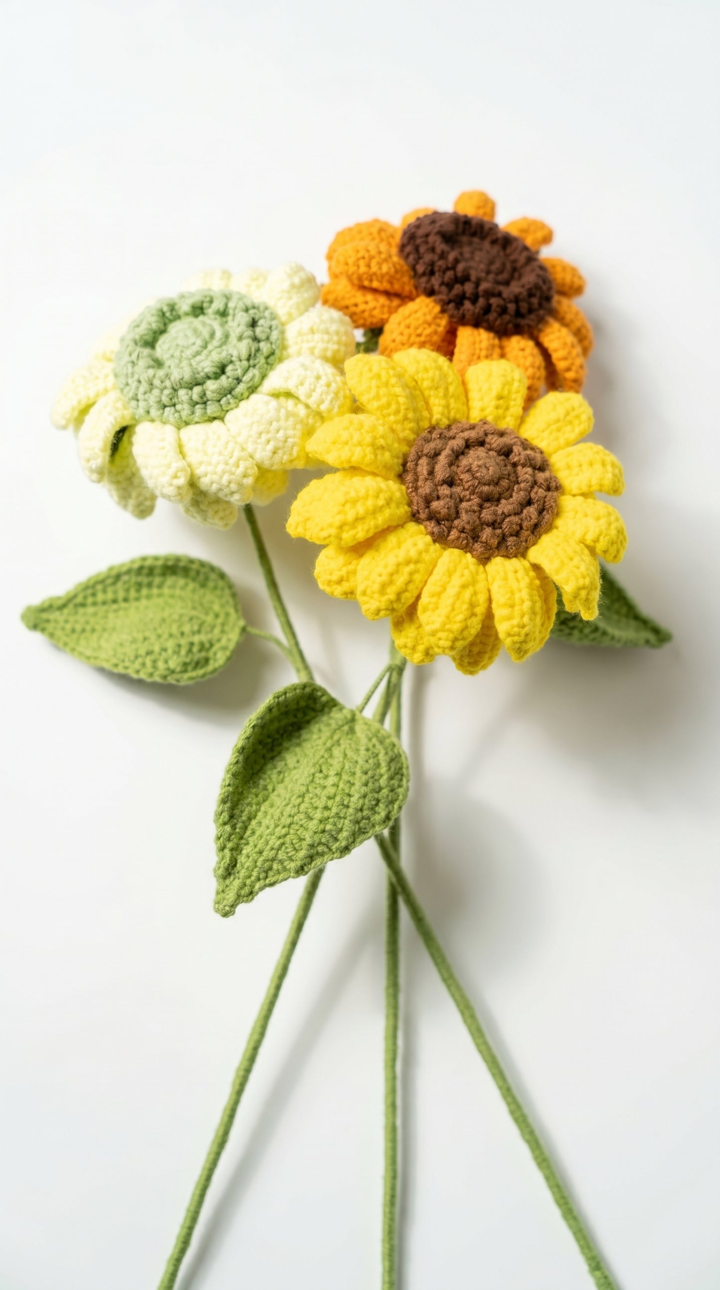 Multicolored Sunflower