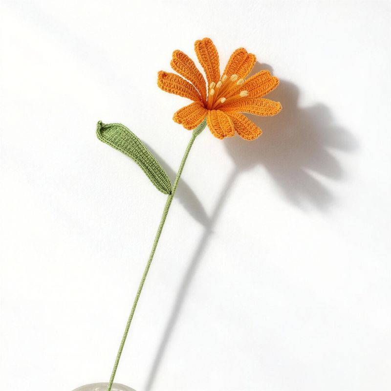 Orange Cosmos
