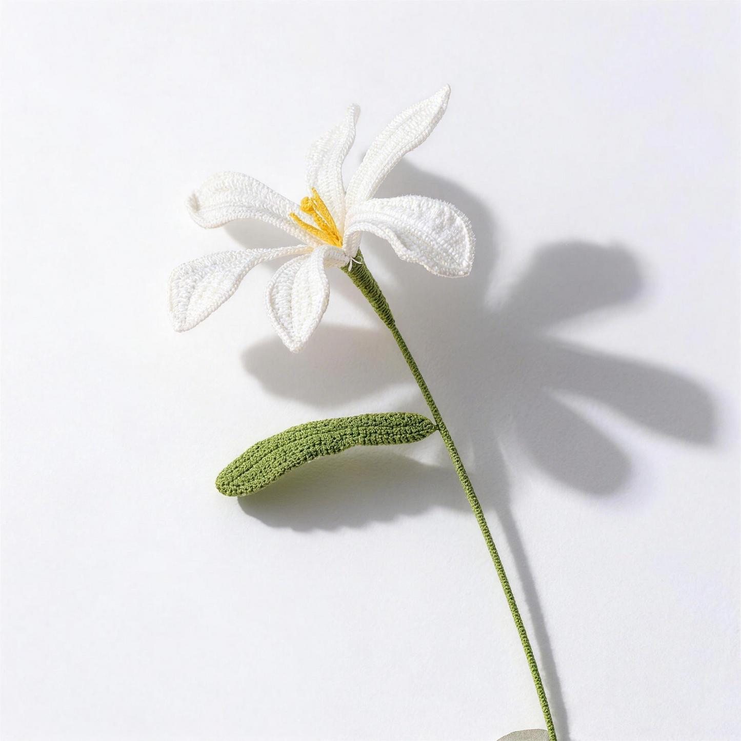 Peruvian Lily