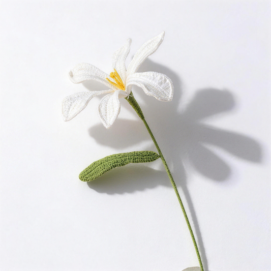 Peruvian Lily