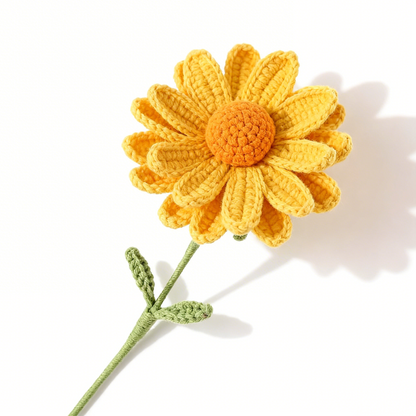 Sunlit Daisy