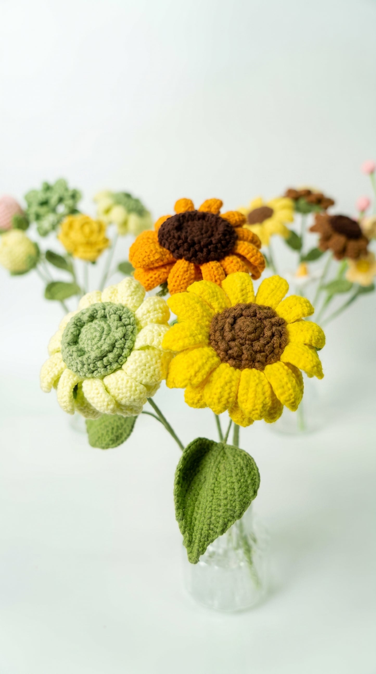 Multicolored Sunflower
