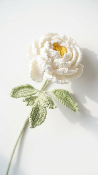 Afghan Peony