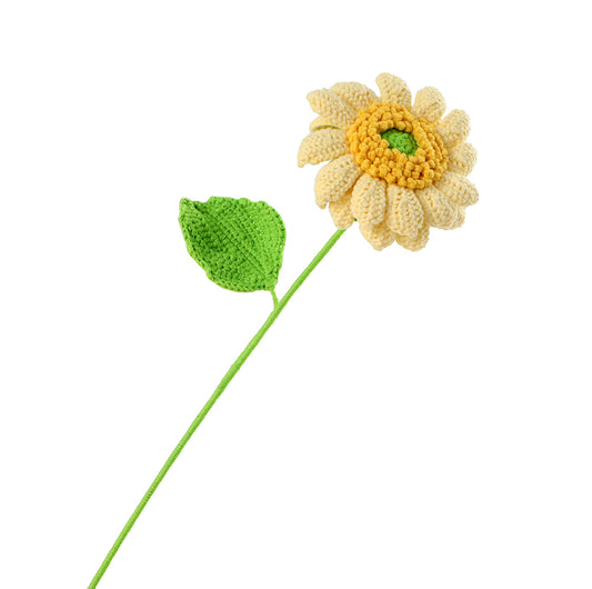 Cream Sunflower