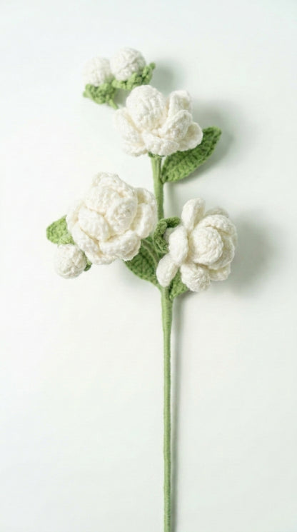 Multi-bud Jasmine
