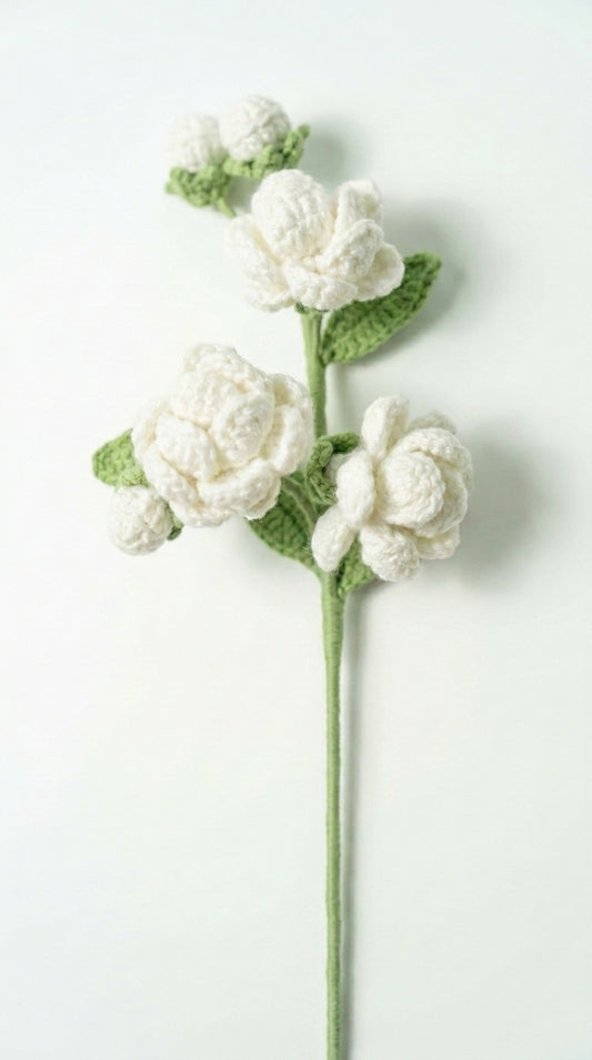 Multi-bud Jasmine
