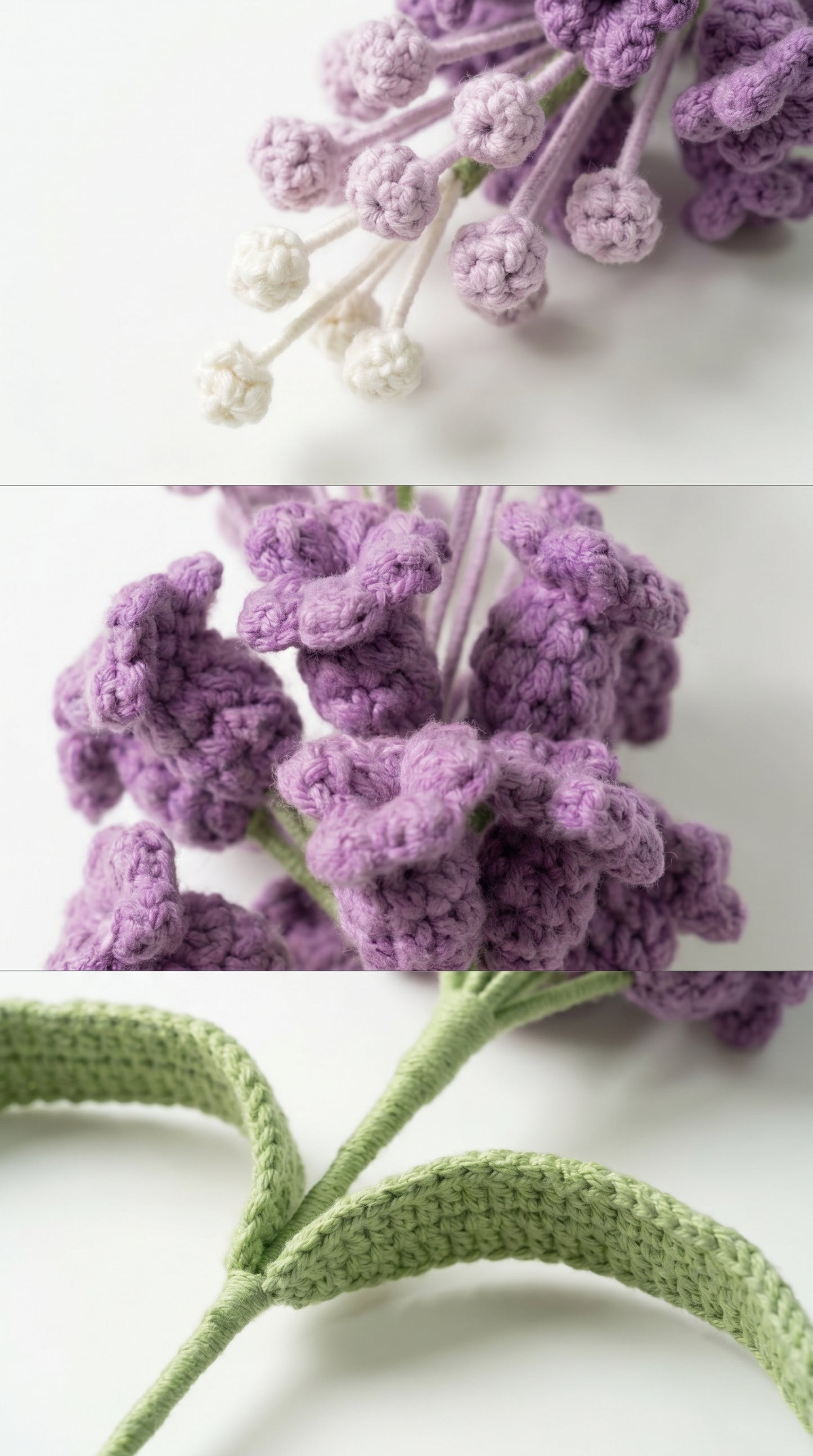 Gradient Grape Hyacinth