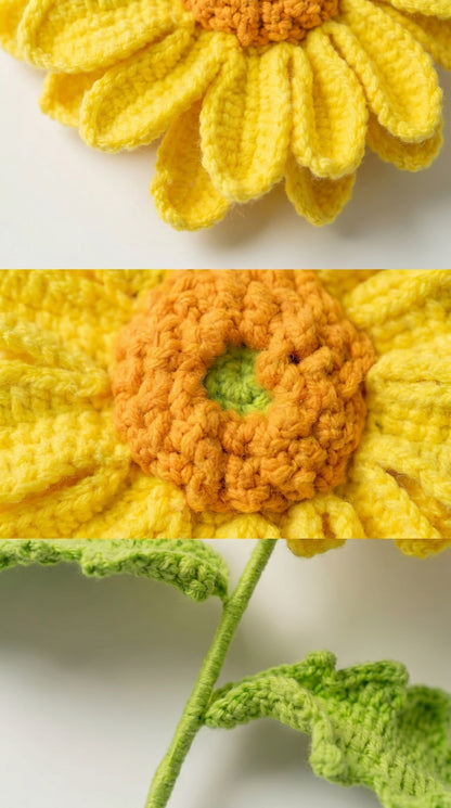 Big Gerbera