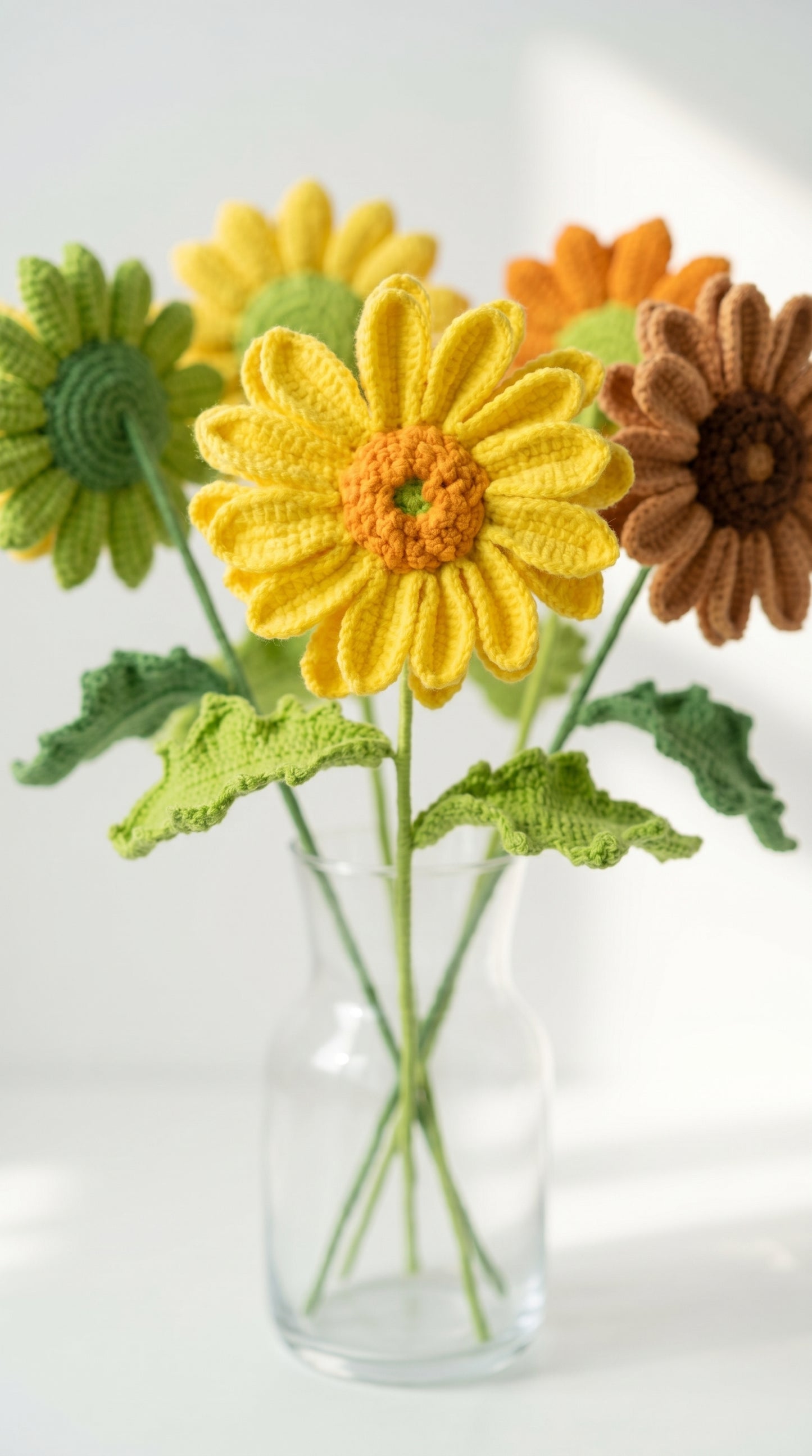 Big Gerbera