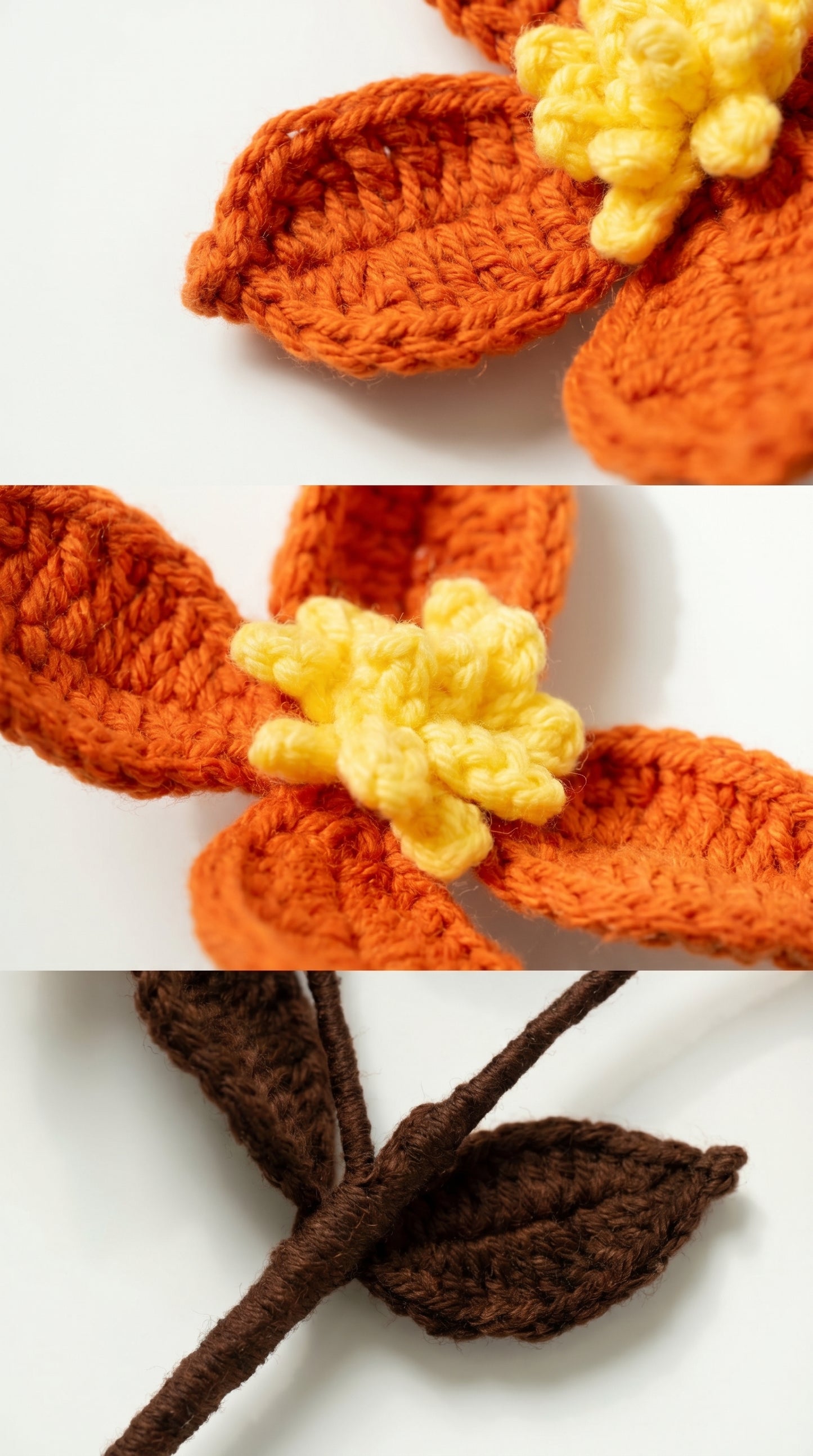 Dogwood Flower Branch