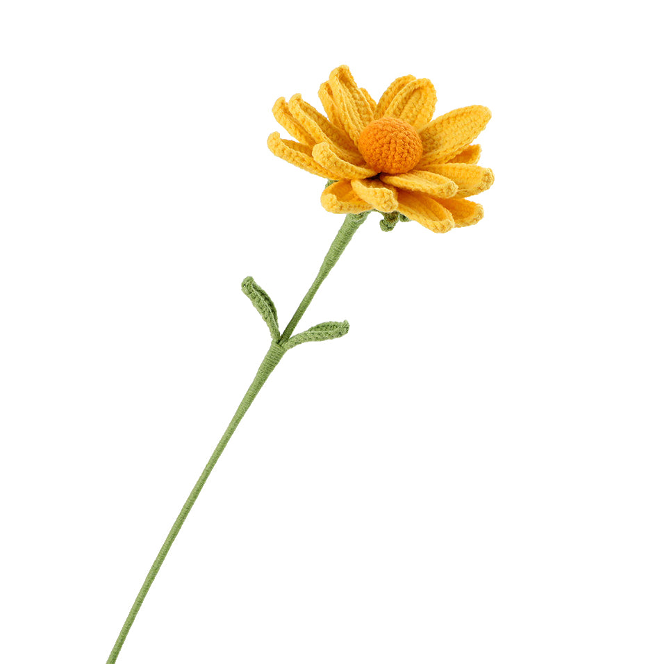 Sunlit Daisy